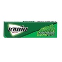 20 Sticks /box Dentyne Gum Spearmint 13.5 Gm/stick