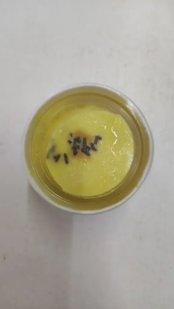 Ko Kaung Durian ice cream @ 110g