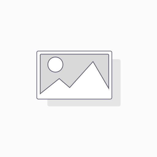Vivo_S17